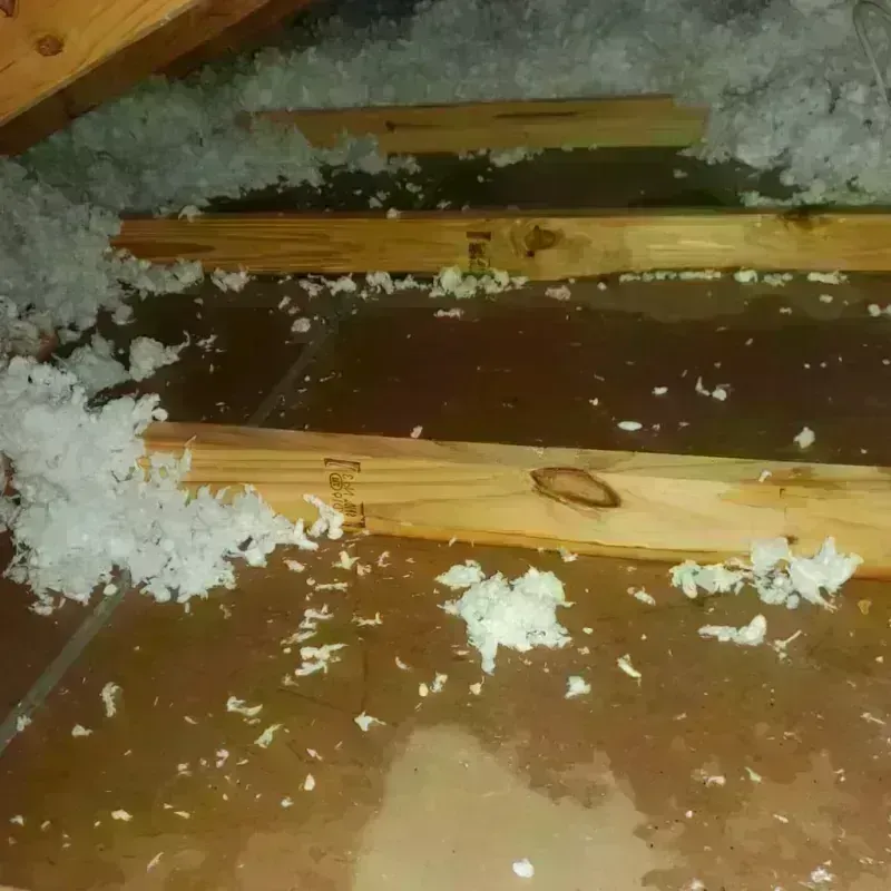 Attic Water Damage in Concho County, TX