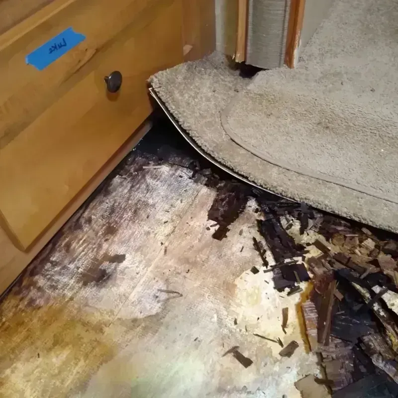 Best Wood Floor Water Damage Service in Concho County, TX